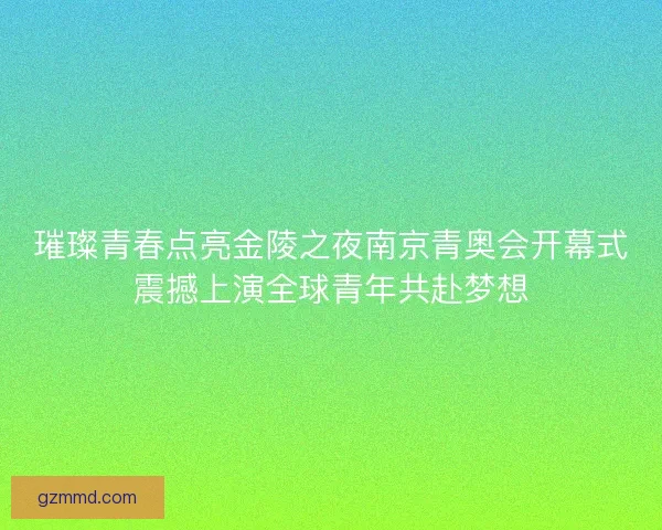 璀璨青春点亮金陵之夜南京青奥会开幕式震撼上演全球青年共赴梦想 璀璨青春点亮金陵之夜南京青奥会开幕式震撼上演全球青年共赴梦想