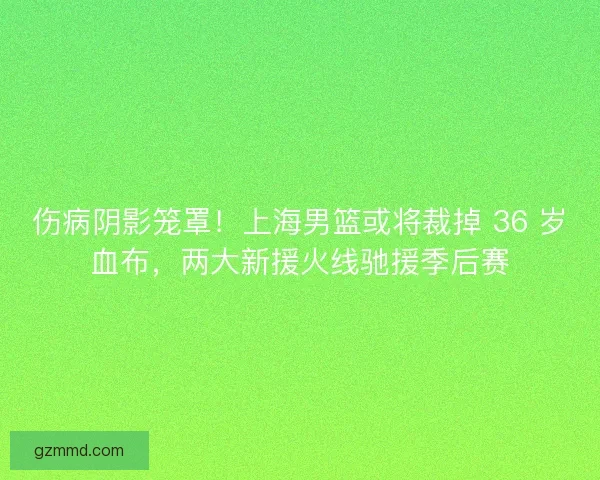 伤病阴影笼罩!上海男篮或将裁掉 36 岁血布,两大新援火线驰援季后赛 伤病阴影笼罩!上海男篮或将裁掉 36 岁血布,两大新援火线驰援季后赛