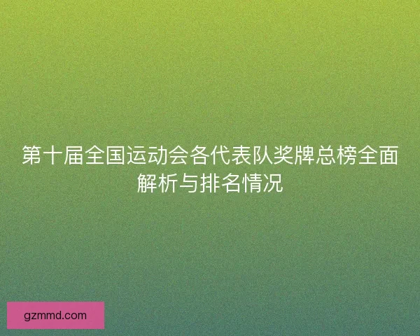第十届全国运动会各代表队奖牌总榜全面解析与排名情况 第十届全国运动会各代表队奖牌总榜全面解析与排名情况