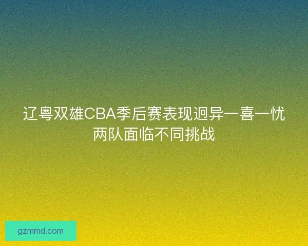 辽粤双雄CBA季后赛表现迥异一喜一忧两队面临不同挑战