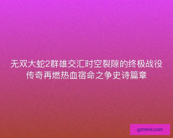 无双大蛇2群雄交汇时空裂隙的终极战役传奇再燃热血宿命之争史诗篇章